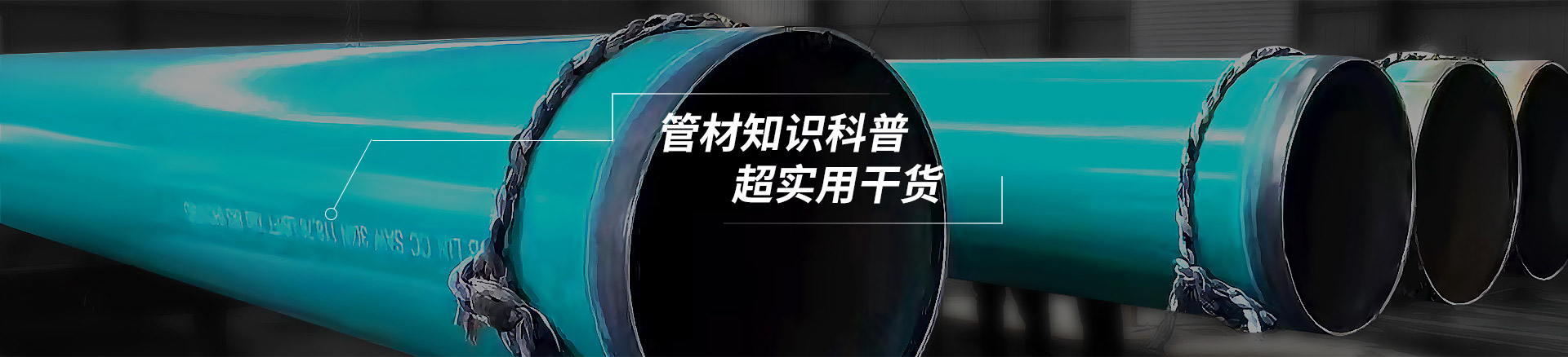 公司动态
